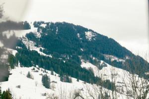Gallery image of Charming Apartment with Alpine Ambiance in Gstaad +9 photos