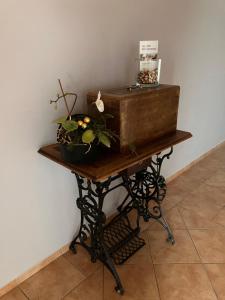 een tafel met een doos en planten erop bij Ferienwohnungen Friedrich - im Herzen des Erzgebirges in Mildenau