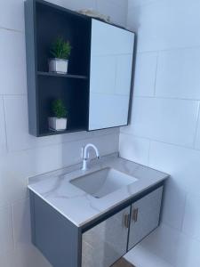 ColoradoにあるMi Rinconcitoのバスルーム(鏡、鉢植えの植物2本付)