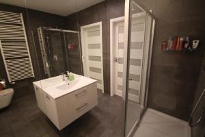 łazienka z umywalką i prysznicem w obiekcie Apartament na Złotej w Kielcach