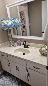 een badkamer met een wastafel en een spiegel bij A Beautiful Sunset in Clarksville +42 foto's