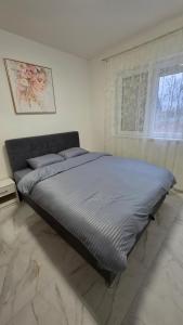 Φωτογραφία από το άλμπουμ του Aurum Apartman σε Veternik +7 φωτογραφίες