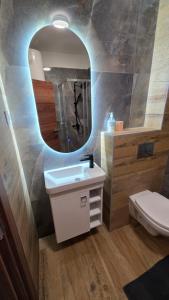 a bathroom with a sink and a mirror at Aurum Apartman in Veternik