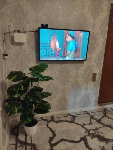 Et tv og/eller underholdning på Buzovna Deluxe Yard