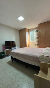 Un dormitorio con una cama y un televisor de pantalla plana. en Departamento cerca de Polanco Nueva Embajada USA y el Hospital Militar, en Ciudad de México