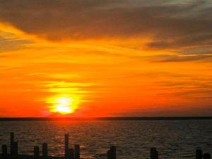 Naturlandskabet i nærheden af feriehuset + 2 billeder