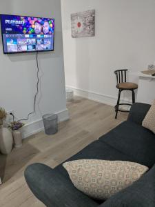 TV a/nebo společenská místnost v ubytování Brand New Private Unit with Parking, Steps to TTC, 15 Minutes to Downtown