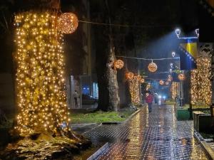 a street with christmas lights on a tree at night at Old Town Maglaj in Maglaj