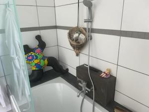 un angolo di un bagno con doccia in una stanza di Natur, Kultur und Wandern a Losheim