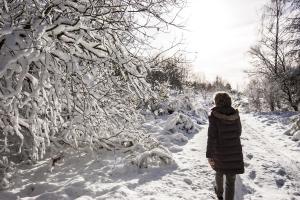Haus Alleegarten v zimě