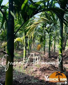 un grupo de palmeras en un bosque en Yashokiran Farmstay, en Borlai
