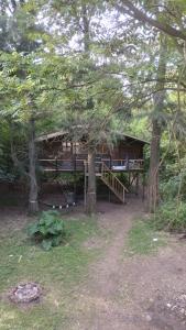 una baita nel bosco con alberi di Isla La Paz a Tigre