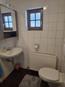 Un baño con lavabo, inodoro y espejo. en Knusperhaus mit Garten, en Salzburgo