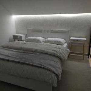 a bedroom with a large bed with two night stands at Apartman LUX Jelena in Surčin