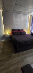 a bedroom with a large bed in a room at Ebbies place in Cape Town