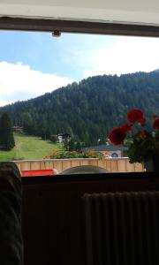 ventana con vistas al río y a los árboles en Residenza Grazia, en Madonna di Campiglio