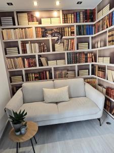 Knihovna v apartmánu + 32 fotografií