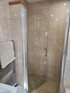 eine Dusche mit Glastür im Badezimmer in der Unterkunft Casa Las Patas De Los Patos in La Sabinita + 25 Fotos