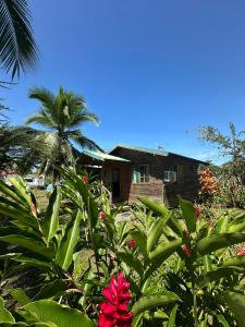 een huis met een palmboom en bloemen bij Bobinsana INN in Puerto Limón