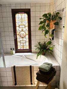 Fotografie z fotogalerie ubytování Cozy house in Olmen v destinaci Balen