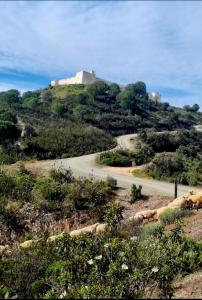 Naturlandskabet i nærheden af lejligheden
