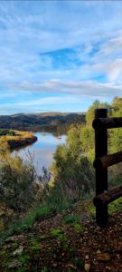 Naturlandskabet i nærheden af lejligheden + 3 billeder