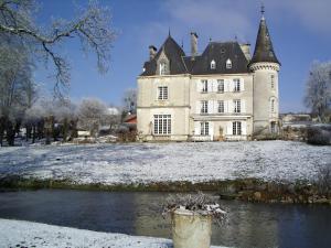een kasteel in de sneeuw met een vijver ervoor bij Château de la Chabroulie in Isle