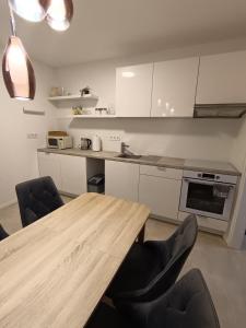 Kuchyň nebo kuchyňský kout v ubytování Specious Apartment in Downtown