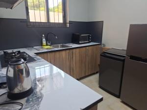 Η κουζίνα ή μικρή κουζίνα στο 1 Bedroom Apartment on ground floor with access to swimming pool