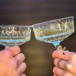 a person holding up two glasses of wine at Hidden Acres- Luxury Glamping Pod in Malahide +19 photos