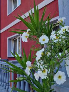 Balkón nebo terasa v ubytování Pension Pale' Bach