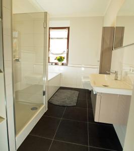 a bathroom with a shower and a sink at Haus zur Pulvermühle in Zwenkau