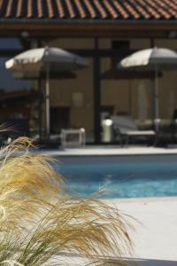 a pool with two umbrellas and some grass at Auberge Bressane de Buellas in Buellas