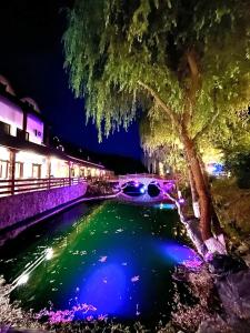 Bazén v ubytování Viman Events nebo v jeho okolí