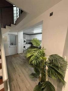 een grote groene plant in een kamer met een trap bij Alvarenga House in Maia