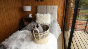 Φωτογραφία από το άλμπουμ του ElparaisodelmarQuidico σε Quidico