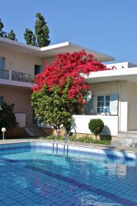a house with a red tree next to a swimming pool at Cormoranos Apartments Eco Green in Kissamos