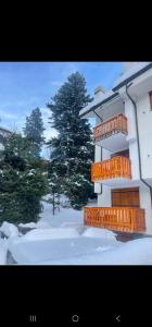 een gebouw met oranje balkons in de sneeuw bij Il rifugio del Bianco in Courmayeur