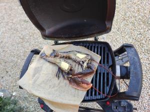 a lobster is sitting on top of a grill at Location en bordure du Trieux in Plourivo