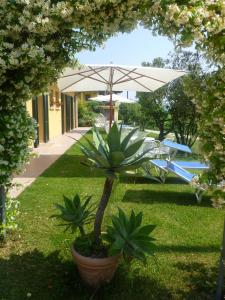 a garden with a table and an umbrella and a pool at Agriturismo Dondino in Cavriana