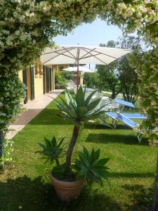 The swimming pool at or close to Agriturismo Dondino