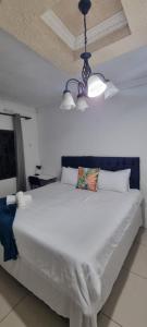 a large white bed in a room with a ceiling at 56 Archer Crescent Mainhouse in Durban +25 photos