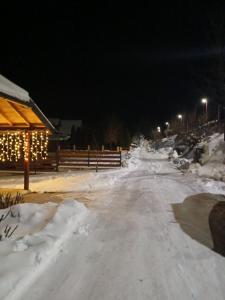 a road covered in snow at night with lights at Apartman Bakic in Kolašin