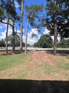 Příroda nedaleko apartmánu + 29 fotografií