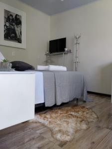 フロリアノポリスにあるCasa nos Ingleses - 1 quartoのベッドルーム1室(ベッド1台、ラグ、テレビ付)