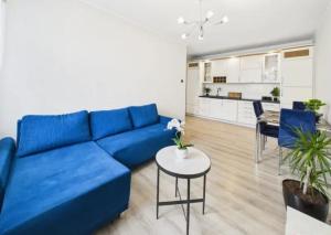 Kuchyň nebo kuchyňský kout v ubytování Apartament Maja + 4 fotografie