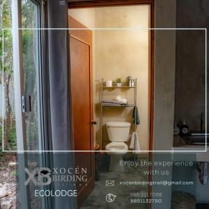 un collage di un bagno con un water e una finestra di Ecolodge Xocen Birding a Xocén