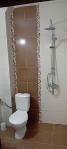 Koupelna v ubytování Kapana Garden - 4 persons luxury apartment