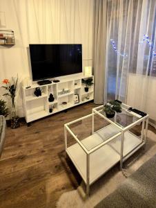 TV a/nebo společenská místnost v ubytování Kapana Garden - 4 persons luxury apartment + 14 fotografií