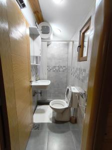 een badkamer met toilet en wastafel bij Apartman Bakic in Kolašin +6 foto's